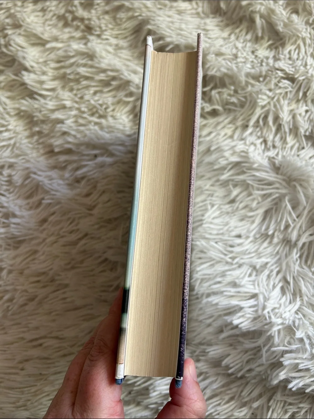 Elizabeth Hay - “His Whole Life” novel (White hardcover Cover with Sepia Tones) - Picture 4 of 4